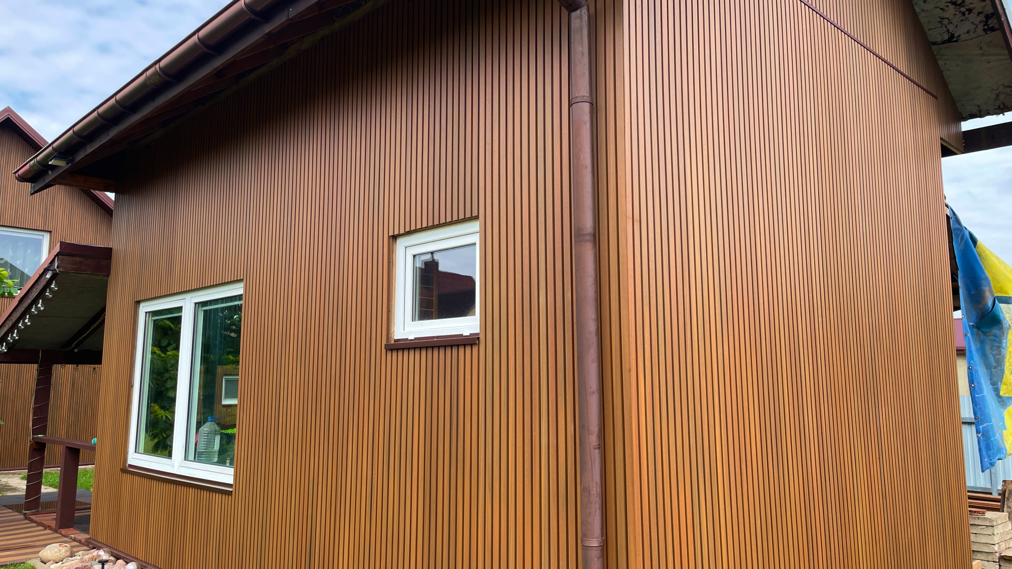 scandic wpc fortewood dailylentes