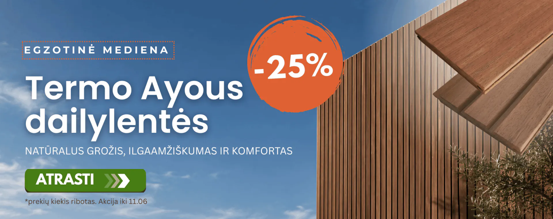 termo ayous dailylentėms -25%